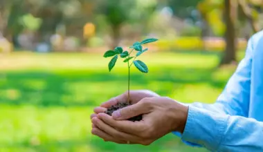 Can we build generational wealth with mutual funds?