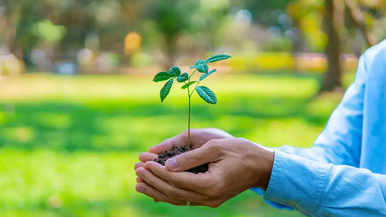 Can we build generational wealth with mutual funds?