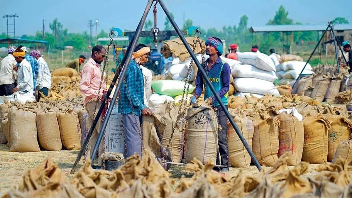 India’s Small Firms Need Markets: Why Credit Alone Can’t Grow the Informal Economy