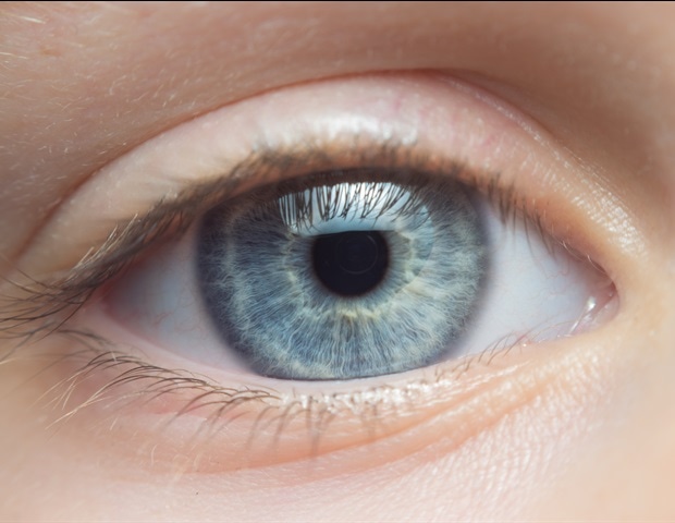 Smartphone imaging accurately supports remote cataract referral decisions