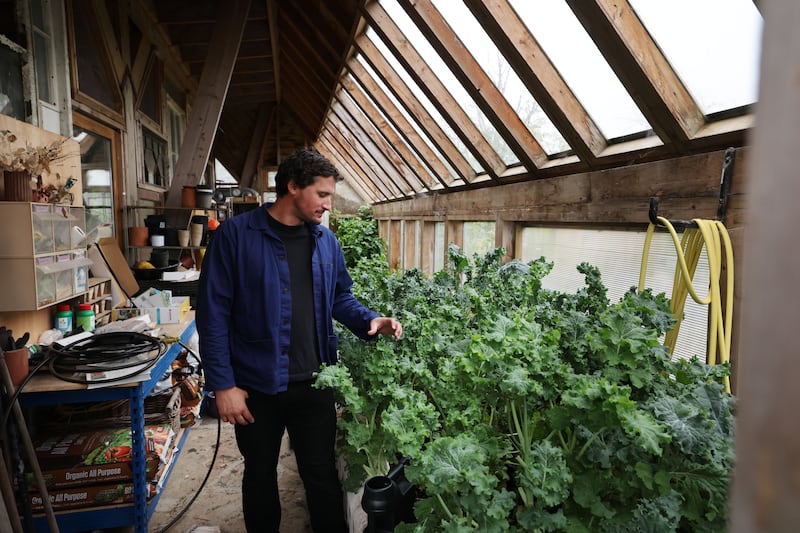 Harrison Gardner says he finds small talk hard. He is far more comfortable in the weeds. Photograph: Alan Betson/The Irish Times