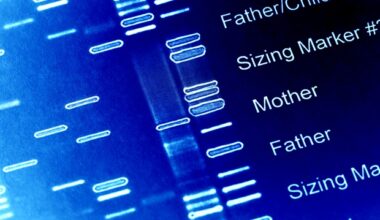 Research reveals how natural enzymes transcribe expanded eight-letter genetic code