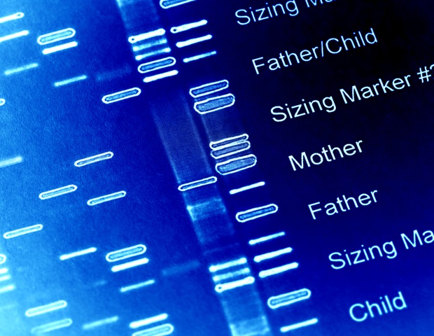 Research reveals how natural enzymes transcribe expanded eight-letter genetic code