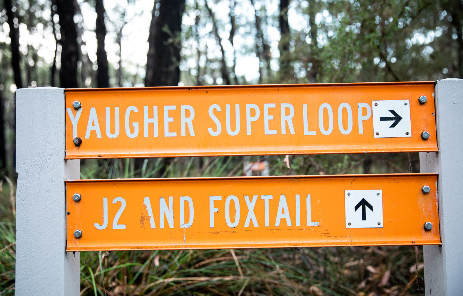 How the Forrest MTB club got a Bowhead for the community
