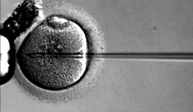 EpilepsyGTx and Viralgen collaborate to advance AAV gene therapy program for epilepsy ahead of first-in-human trial