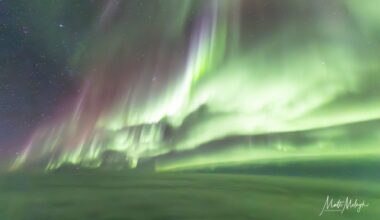 Aurora season is back! Pilot captures spectacular northern lights from 37,000 ft