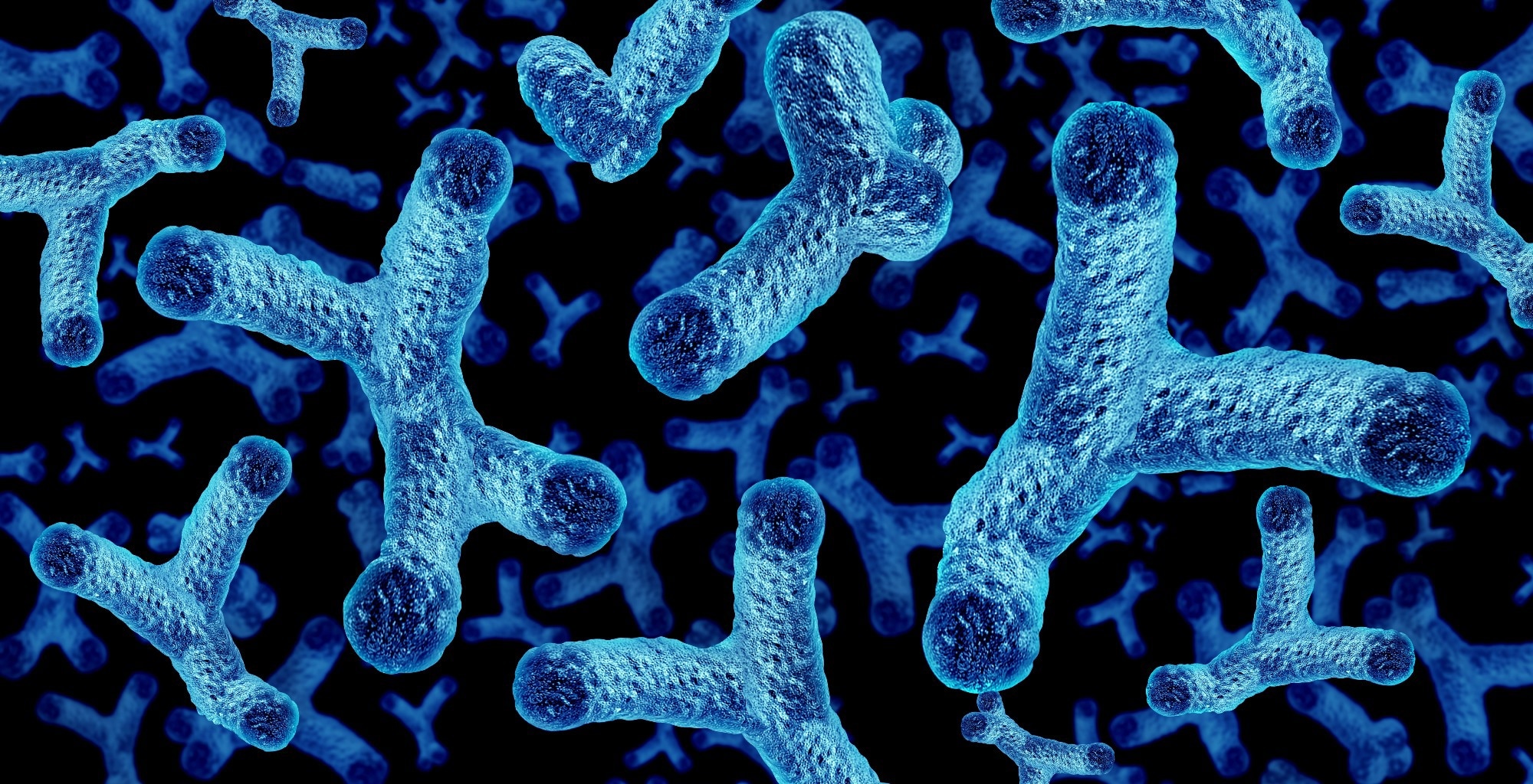 Study: Gut microbiome shifts in chronic systolic heart failure are associated with disease severity and clinical improvement. Image Credit: Lightspring / Shutterstock