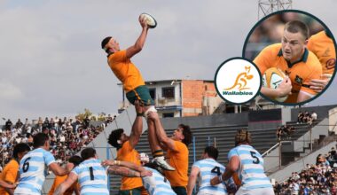 Wallabies name the area they are 'definitely growing' in