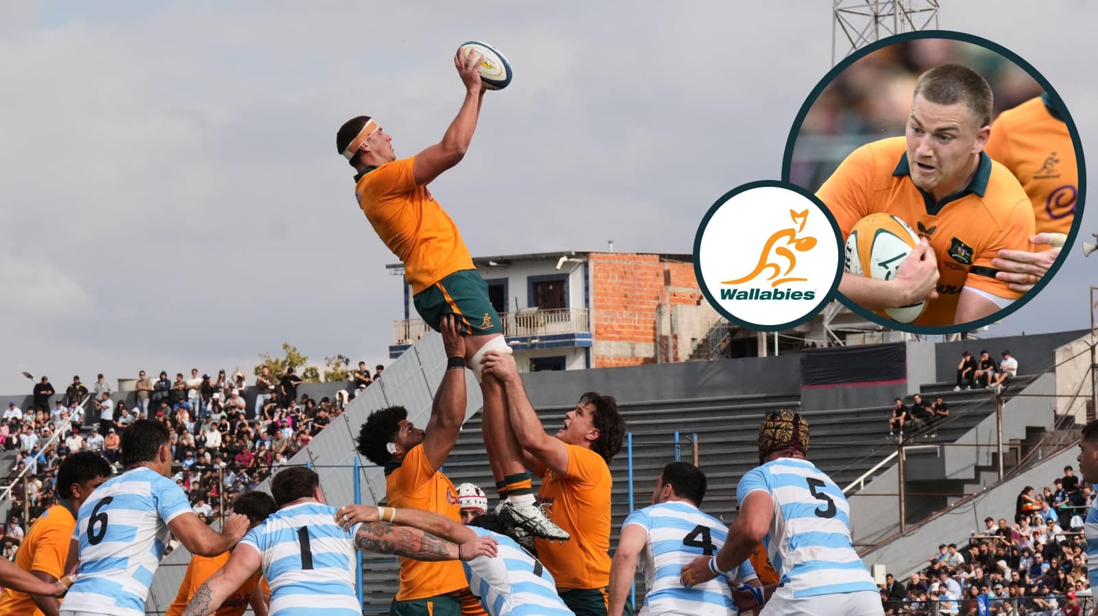 Wallabies name the area they are 'definitely growing' in