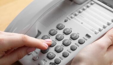Department of Conservation call centre logs calls about MMA chimpanzee bout, eel-eating seals and UFOs