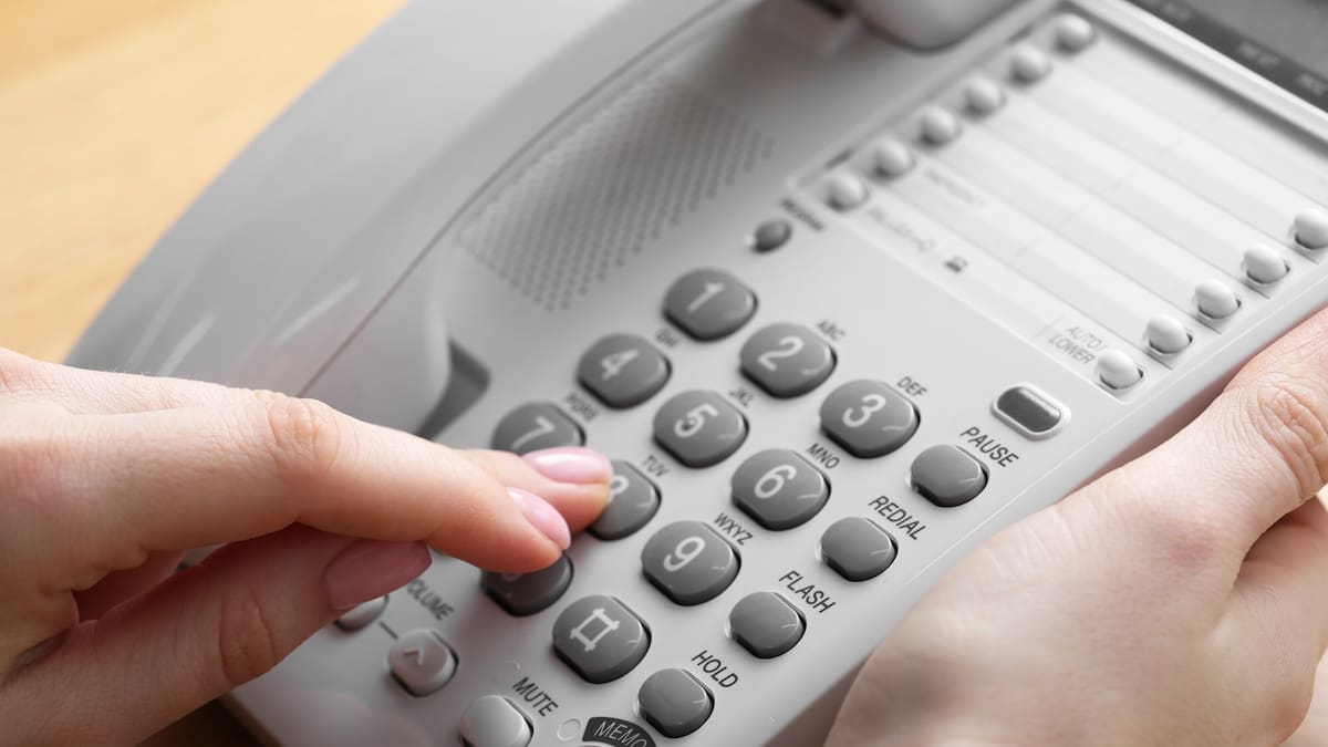 Department of Conservation call centre logs calls about MMA chimpanzee bout, eel-eating seals and UFOs