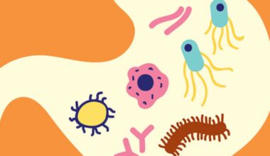 Why probiotics don’t usually help your gut – and what to do instead