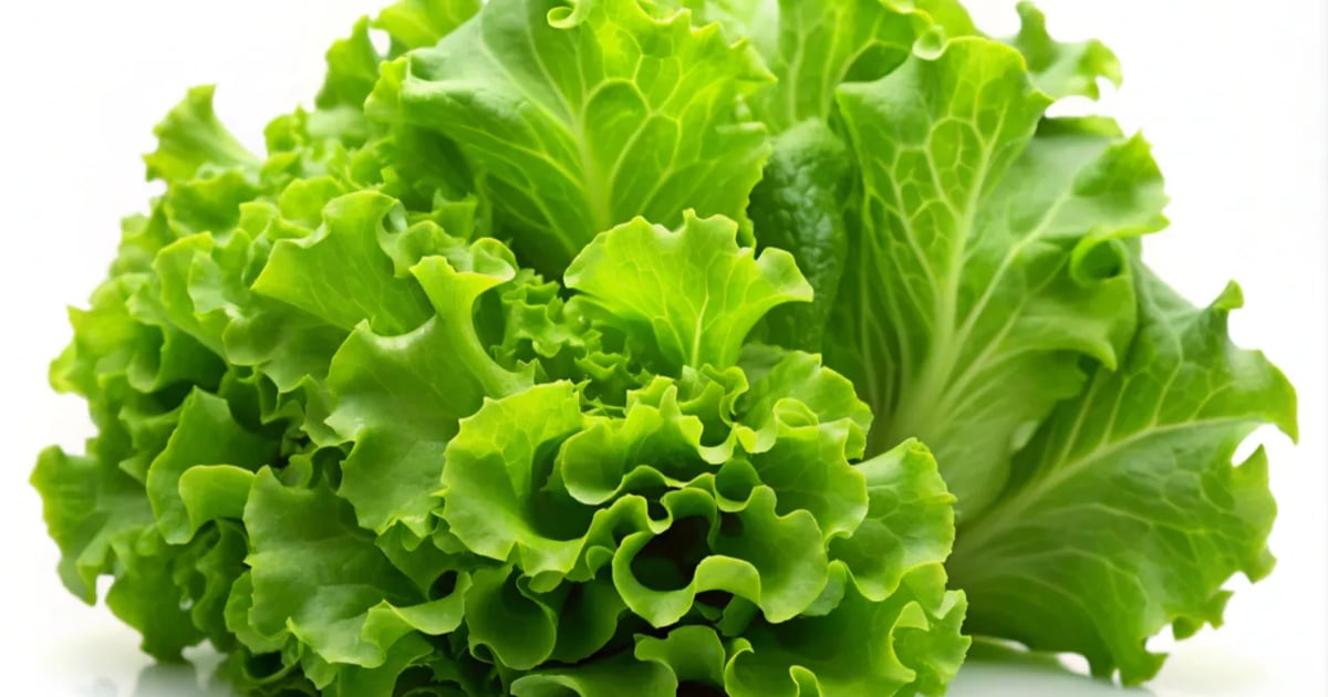 Grocery inflation flat in August, up 2.2% for the year