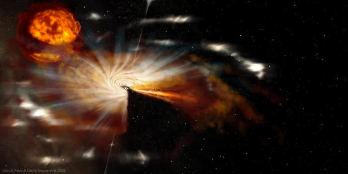 Artist impression of the binary black hole, Swift J1727.8−1613, with eruptions of jets emanating from the black hole. (Credit: John A. Paice &amp; Noel Castro Segura et al, ‘SwiftJ1727 - Final - No Overlay – DonorJetClouds’, (2026))