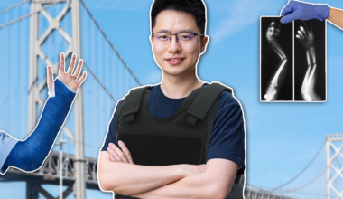 From building bridges to bulletproof bones