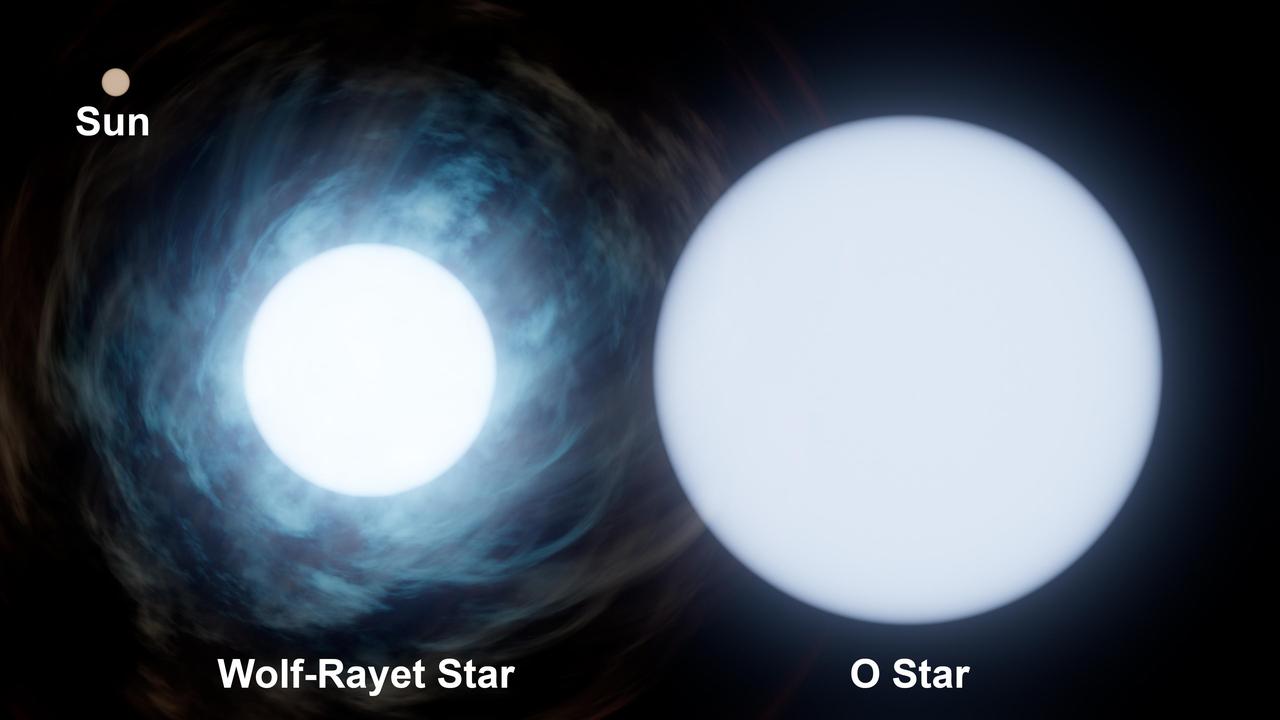 Relative size of the sun (upper left) compared to two stars in binary system Wolf-Rayet 140. O-type stars are short-lived and some of the biggest and brightest stars in the universe. Wolf-Rayet stars are O-type stars near the end of their life that release huge amounts of mass into space via stellar winds, exposing their hot, inner layers. Credit: NASA/JPL-Caltech