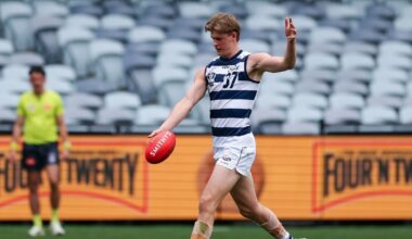 The Remarkable Bond Behind the VFL Cats' Successful Season