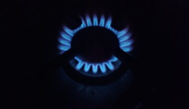 Natural_gas_burning_on_a_gas_stove