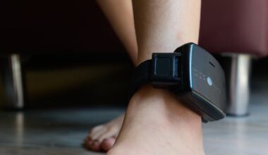 Alleged stalker to have electronic monitoring tag removed so he can attend MMA classes – The Irish Times