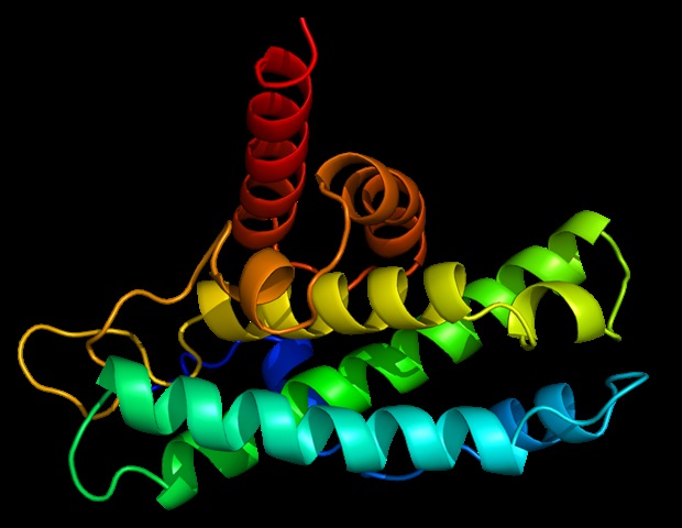 New tool amplifies and visualizes tiny protein changes