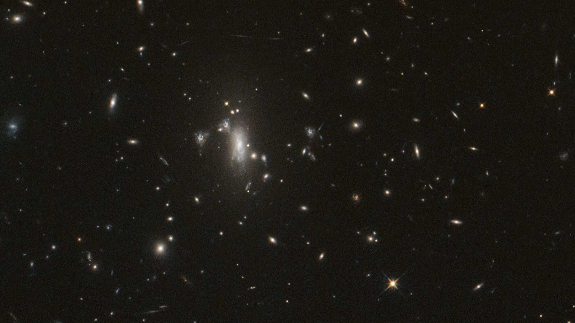 A dark background with flowing shapes, mostly circular or long. There's a hazy white large oval in the center left.