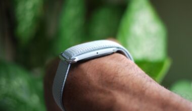 The super-cheap Google Fitbit Air's new Health Guardian features rollout — including Blood Pressure Trends and Insulin Resistance — is one in the eye for expensive rivals like Whoop