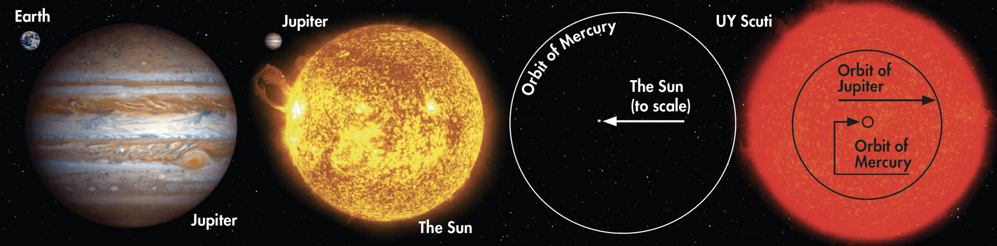 If our Sun were to be replaced by the red hypergiant UY Scuti, a massive 16 AU across, the star’s edge would reach past the orbit of Jupiter