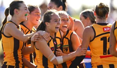 Star's serious injury concern mars Hawthorn Hawks strong win over Western Bulldogs