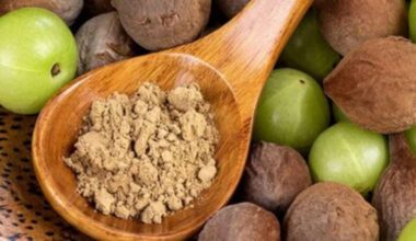 National Ayurveda Day 2026: 6 Powerful Ayurvedic Herbs And Their Health Benefits