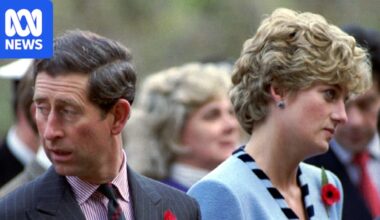 King Charles III sounded 'giddily elated' on night Princess Diana was killed, Earl Spencer claims in book