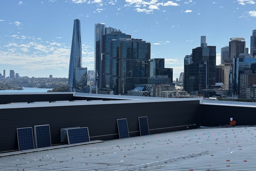 Solar panels on a rooftop of a building with a view of Sydney's skyline.