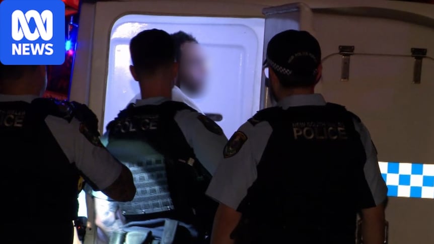 Grandmother, 90, among three women dead in domestic violence-related incidents across NSW