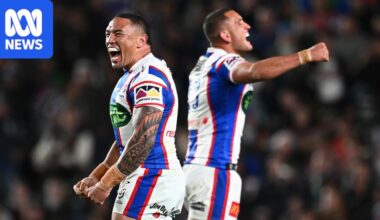 Within their four walls, the Newcastle Knights knew this NRL season was possible