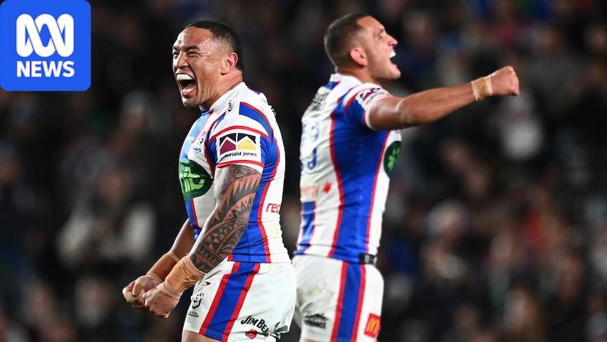 Within their four walls, the Newcastle Knights knew this NRL season was possible