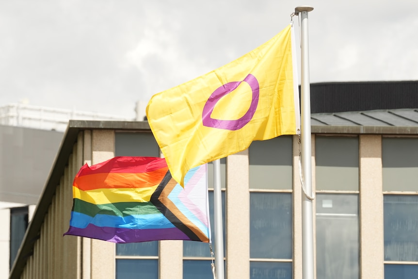 An intersex pride flag flying next to a progress pride flag.