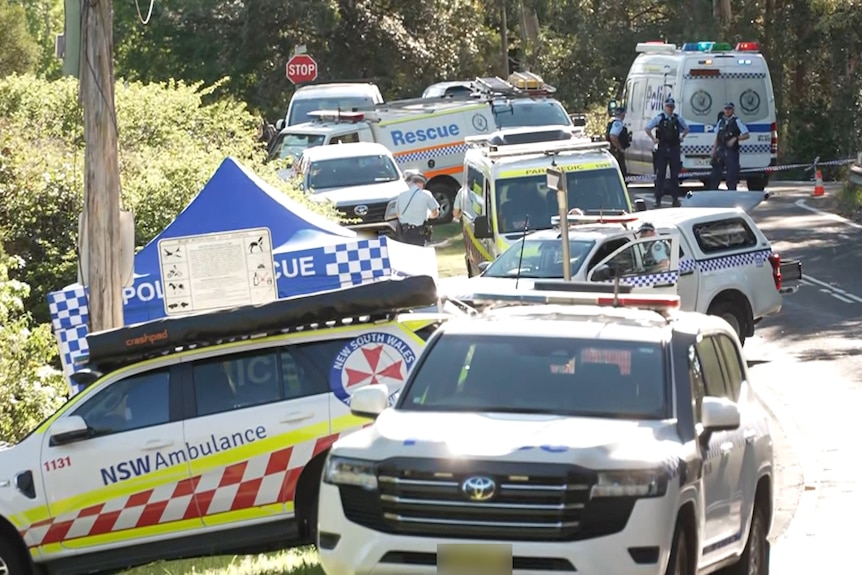 police officers and emergency cars at a scene of a stabbing in the blue mountains