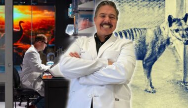 Colossal Biosciences: Scientist Andrew Pask helping to bring back the Tasmanian tiger