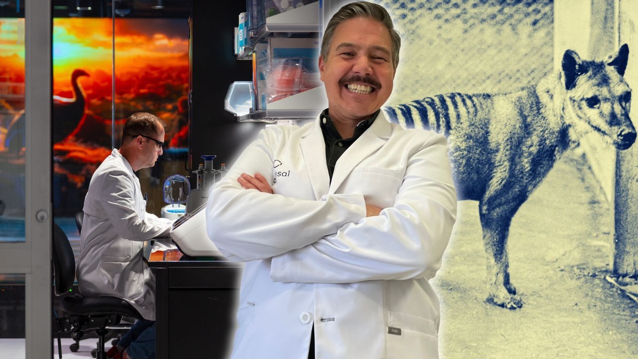 Colossal Biosciences: Scientist Andrew Pask helping to bring back the Tasmanian tiger