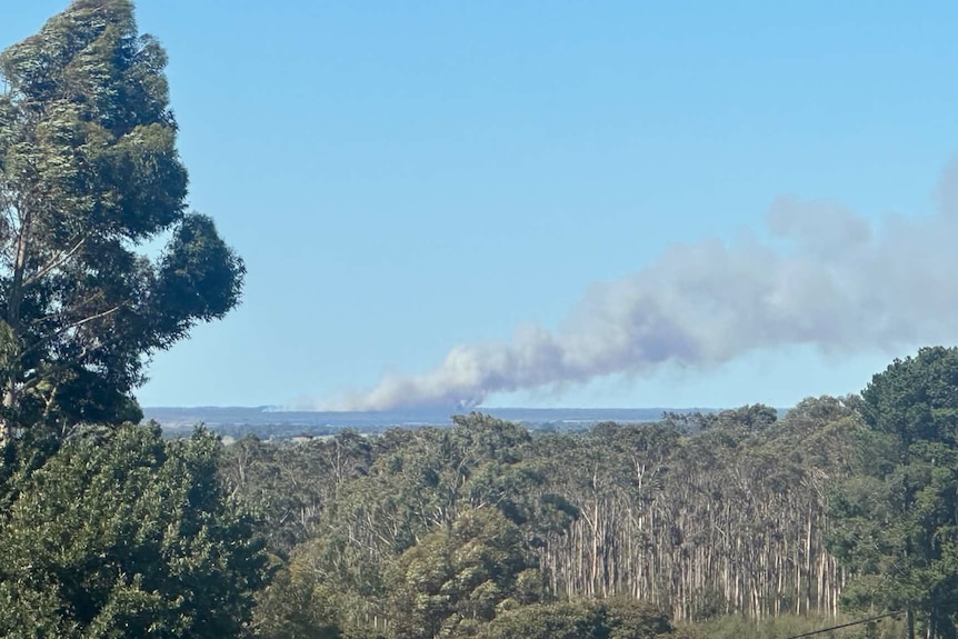 Smoke rises from the horizon in the distance over a forest of trees.