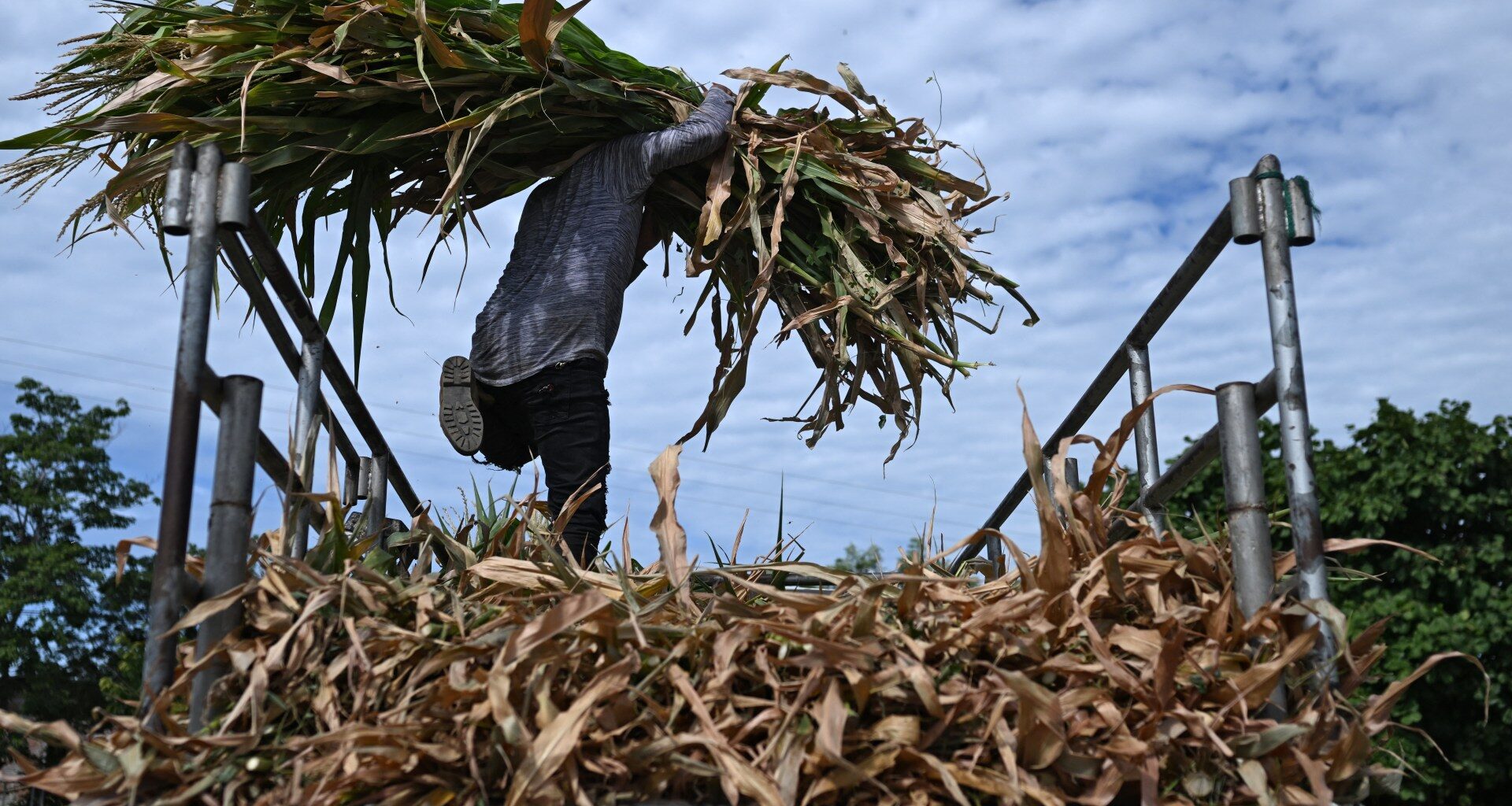 El Nino: A phenomenon supercharged by climate change | Environment News
