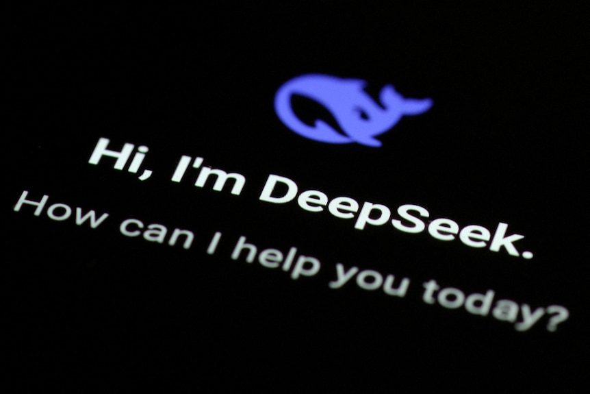 A prompt on a screen with the DeepSeek whale logo asking for input. 