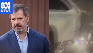Labor MP Ed Husic says he is 'very lucky' to walk away from serious Sydney car crash