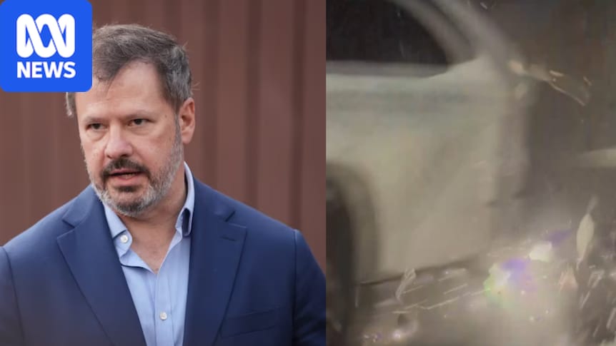 Labor MP Ed Husic says he is 'very lucky' to walk away from serious Sydney car crash
