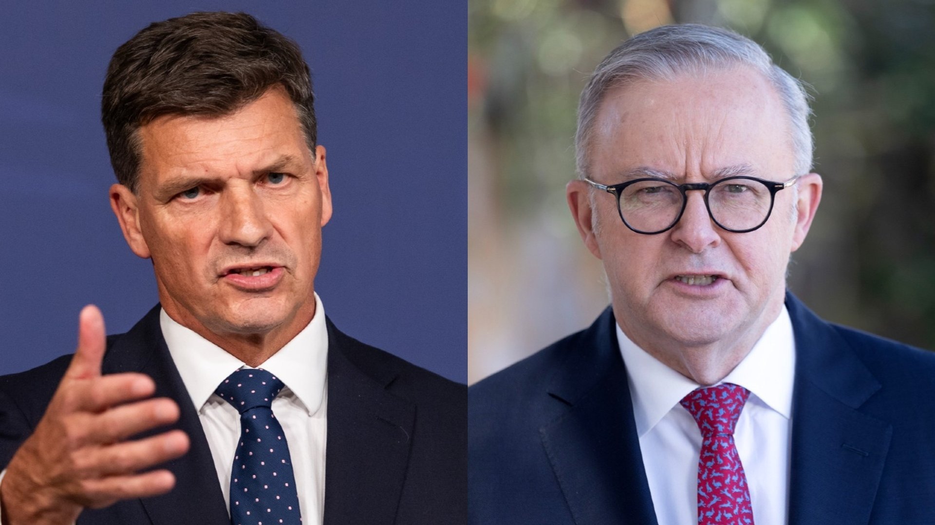 ‘Labor’s policies are funding organised crime’: Angus Taylor blasts PM’s tobacco laws