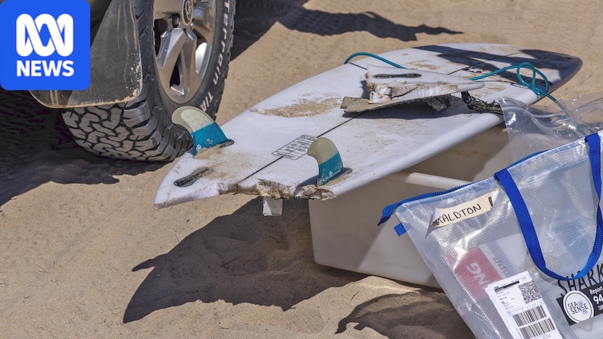 Man rushed to hospital after shark attack north of Geraldton in WA