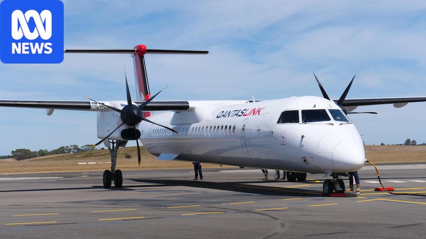 Transport union says Qantaslink ground crew industrial action next week now likely