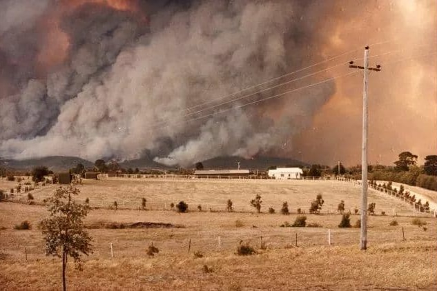 A fire burns in the background of a dry paddock.