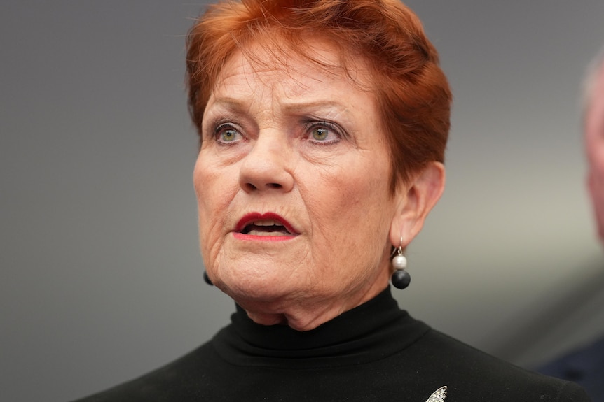 Pauline Hanson wearing a black turtleneck speaking at a press conference.