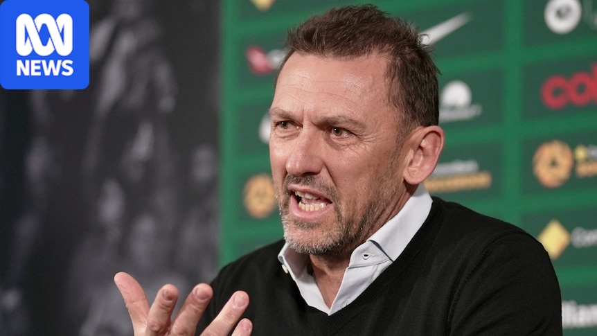 Tony Popovic knocked back four-year Socceroos contract extension