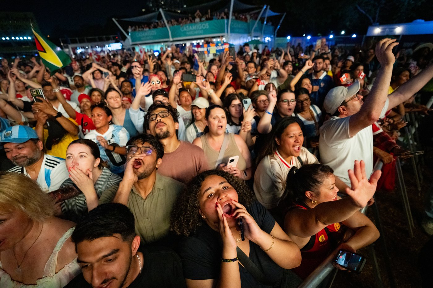 Cell phones at concerts? The great debate